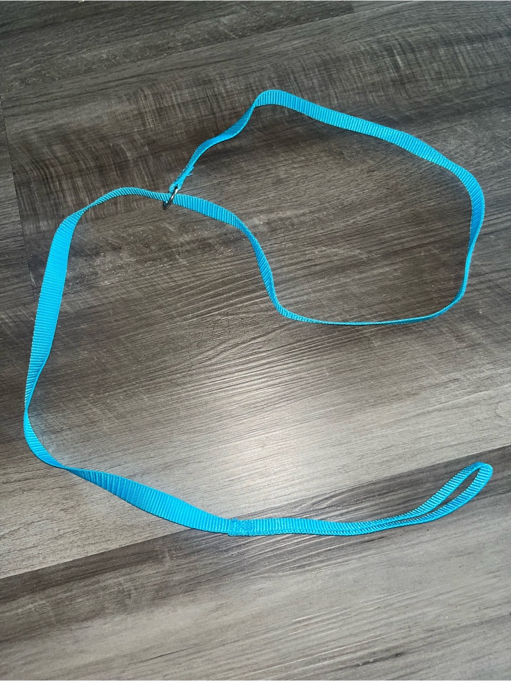 Pet Light Blue Nylon No Pull Leash